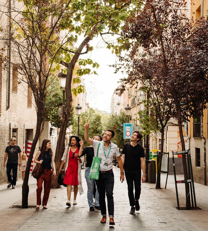 018 Walks Madrid In a Day 2024 0228 (1)